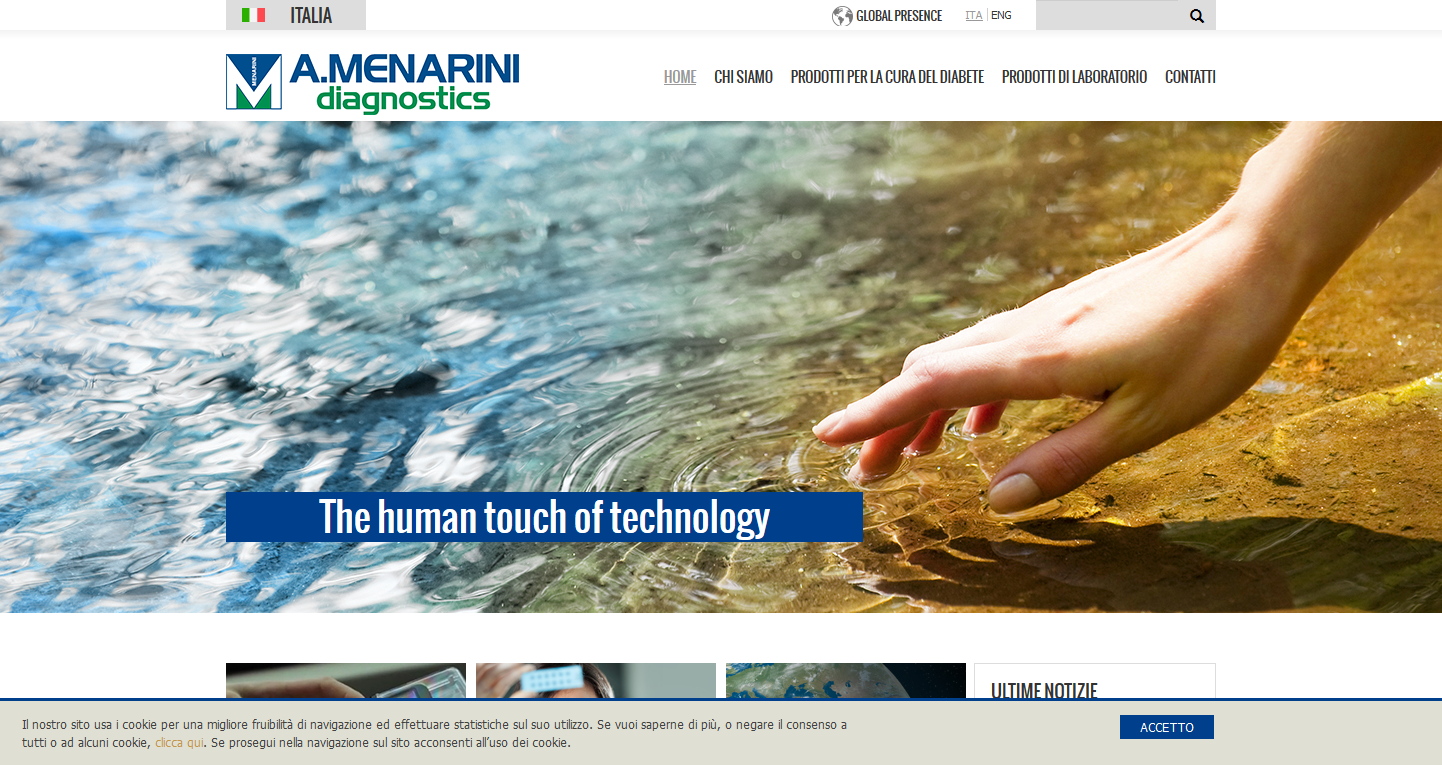 website picture